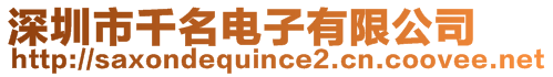 深圳市千名電子有限公司