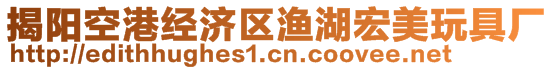 揭陽空港經(jīng)濟(jì)區(qū)漁湖宏美玩具廠