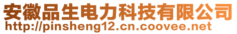 安徽品生電力科技有限公司