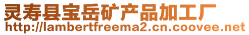 靈壽縣寶岳礦產品加工廠