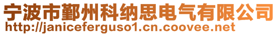 寧波市鄞州科納思電氣有限公司