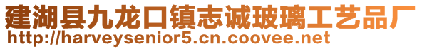 建湖縣九龍口鎮(zhèn)志誠玻璃工藝品廠
