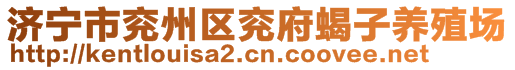 濟寧市兗州區(qū)兗府蝎子養(yǎng)殖場