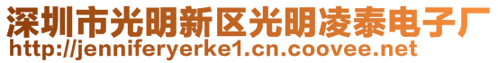 深圳市光明新區(qū)光明凌泰電子廠