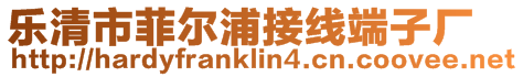 樂(lè)清市菲爾浦接線端子廠