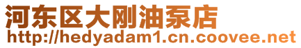 河東區(qū)大剛油泵店