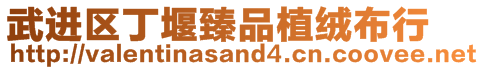 武進區丁堰臻品植絨布行