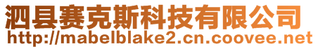 泗縣賽克斯科技有限公司