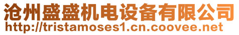 滄州盛盛機電設備有限公司