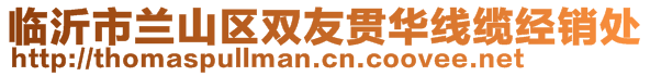 臨沂市蘭山區(qū)雙友貫華線纜經銷處