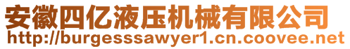 安徽四億液壓機械有限公司