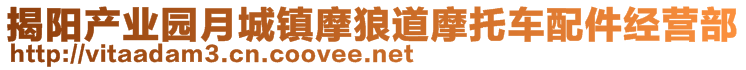 揭陽產(chǎn)業(yè)園月城鎮(zhèn)摩狼道摩托車配件經(jīng)營部