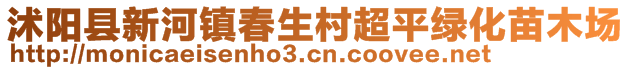 沭陽縣新河鎮春生村超平綠化苗木場