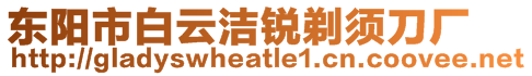 東陽市白云潔銳剃須刀廠