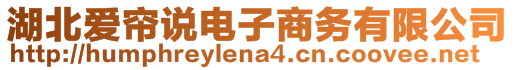 湖北愛簾說電子商務有限公司
