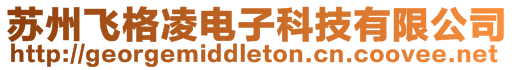 蘇州飛格凌電子科技有限公司