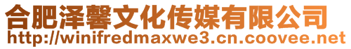 合肥澤馨文化傳媒有限公司