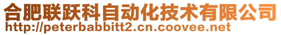 合肥聯(lián)躍科自動化技術(shù)有限公司