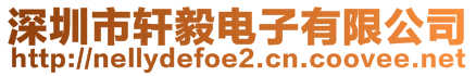 深圳市軒毅電子有限公司