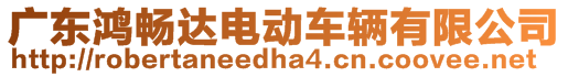 廣東鴻暢達(dá)電動(dòng)車(chē)輛有限公司