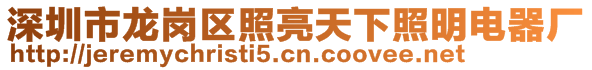 深圳市龍崗區(qū)照亮天下照明電器廠