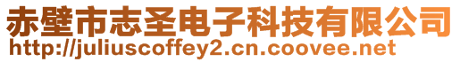 赤壁市志圣電子科技有限公司