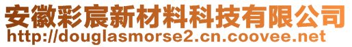 安徽彩宸新材料科技有限公司