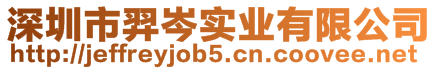 深圳市羿岑實業有限公司