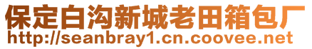 保定白溝新城老田箱包廠