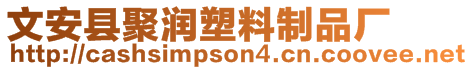 文安縣聚潤塑料制品廠