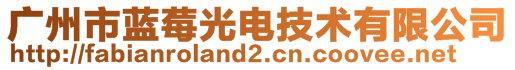廣州市藍莓光電技術有限公司