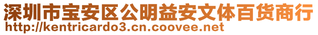 深圳市宝安区公明益安文体百货商行