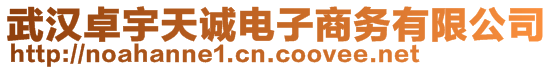 武漢卓宇天誠電子商務有限公司