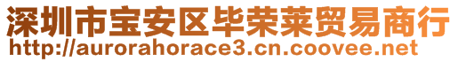 深圳市寶安區(qū)畢榮萊貿易商行