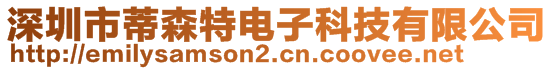 深圳市蒂森特電子科技有限公司