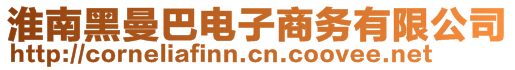 淮南黑曼巴電子商務有限公司