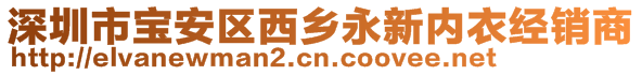 深圳市寶安區(qū)西鄉(xiāng)永新內衣經銷商