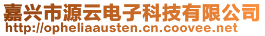 嘉興市源云電子科技有限公司