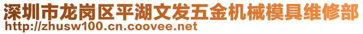 深圳市龙岗区平湖文发五金机械模具维修部