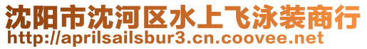 沈阳市沈河区水上飞泳装商行