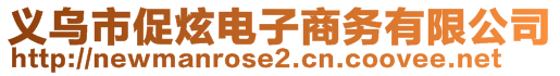 義烏市促炫電子商務(wù)有限公司