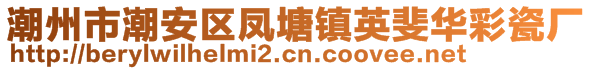 潮州市潮安区凤塘镇英斐华彩瓷厂