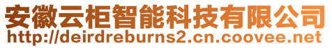 安徽云柜智能科技有限公司