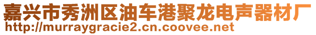 嘉興市秀洲區(qū)油車港聚龍電聲器材廠