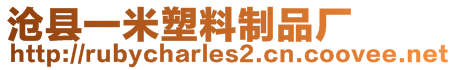 滄縣一米塑料制品廠