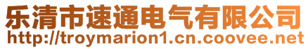 樂清市速通電氣有限公司