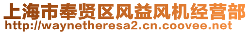 上海市奉賢區(qū)風(fēng)益風(fēng)機(jī)經(jīng)營(yíng)部