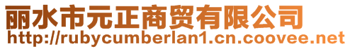 丽水市元正商贸有限公司