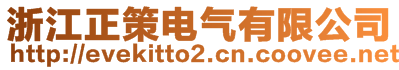 浙江正策電氣有限公司
