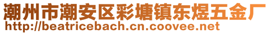 潮州市潮安區彩塘鎮東煜五金廠